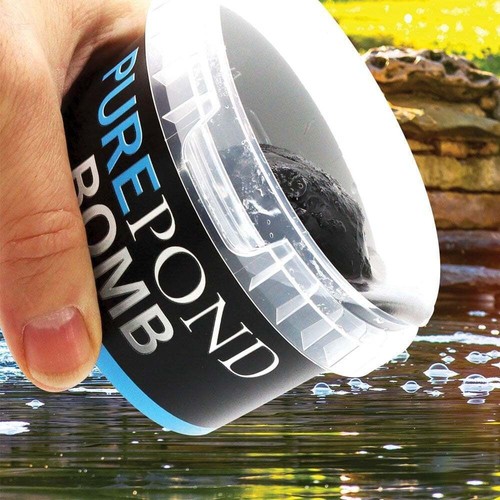 Evolution aqua pure - evolution,